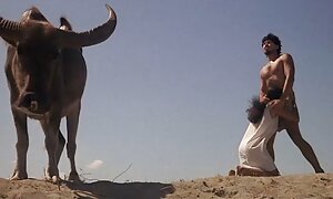 स्त्री रोग विशेषज्ञ-समलैंगिक लड़की चमकदार एक संभोग सुख प्राप्त करने हिंदी सेक्सी पिक्चर सेक्सी पिक्चर में मदद करता है